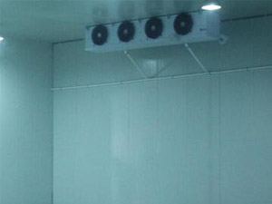 三個(gè)小技巧，輕松辨別真假冷庫(kù)安裝公司